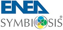 Logo ENEA